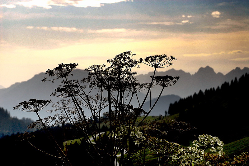 14.02.2011 Landschaft_DDC3457.jpg